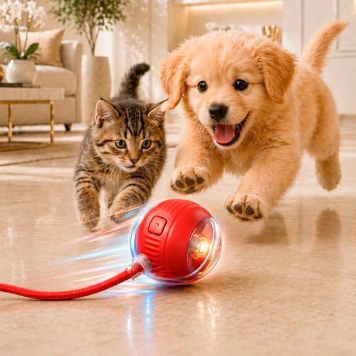 Bola Interativa Pet Inteligente Gato Cão Automática Recarregável ...