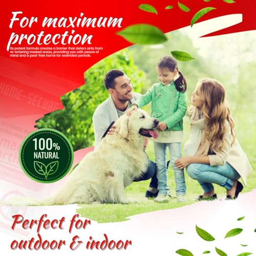 Image of Home-Secure Diatomaceous Earth Powder-Pack of 2 | Natural, Pet Safe, Organic | Plant Friendly Multipurpose Eco-friendly Dust (950 gm X 2)