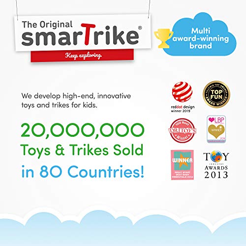 smart trike swing dlx