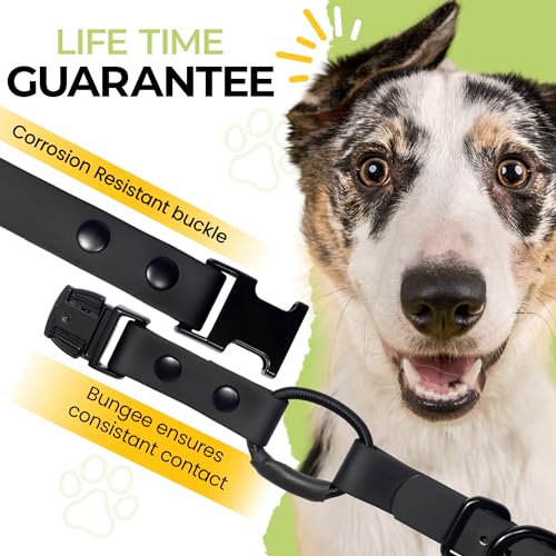 Image of 3 /4 inch e-Collar Bungee Collar Strap, Waterproof (Blue, 3 /4 inch)