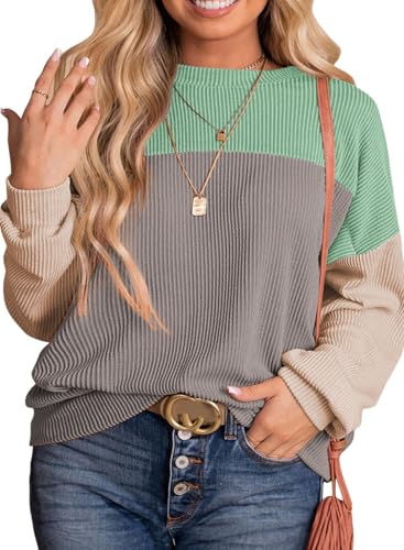 Eytino Women Plus Size Long Sleeve Color Block Crewneck Sweatshirts Casual Comfy Fall Fashion Outfits Clothes,5X Light Green