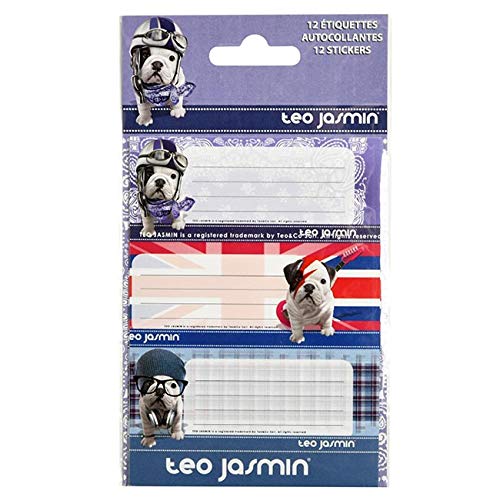 12 étiquettes scolairesTEO JASMIN Style