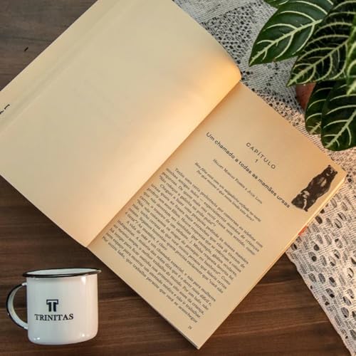 Apologética da Mamãe Ursa: Empoderando Seus Filhos Para Enfrentarem as Mentiras da Nossa Cultura