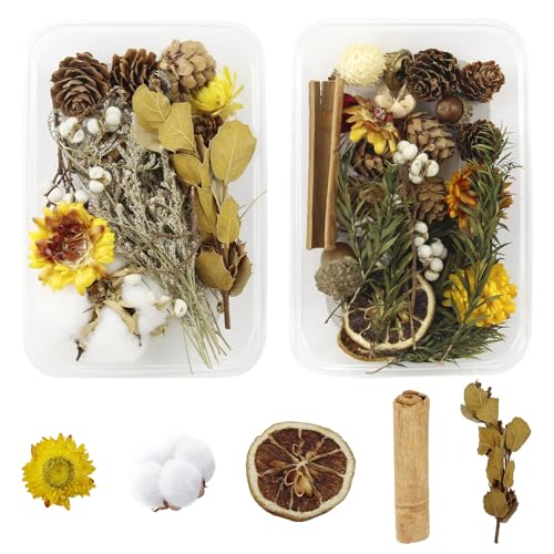 2 Cajas de Adornos Navideños Coronas Navideñas Canela en Rama Rodajas de Limón Seco Capoc y Piñas Bellotas para Decorar el Arbol de Navidad y la Corona de Adviento