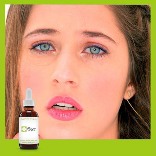 Fleurs de Bach PEUR - Une solution naturelle contre les Peurs et l'Anxieté -Ce mélange Cover