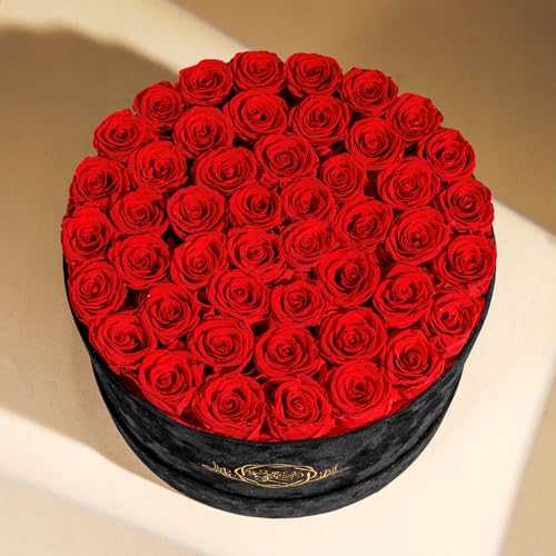 47 Flowers in a Luxury Suede Box, Birthday Gifts for Women, Preserved Flowers, Mothers Day Roses Gift for Mom, Red - Image 5