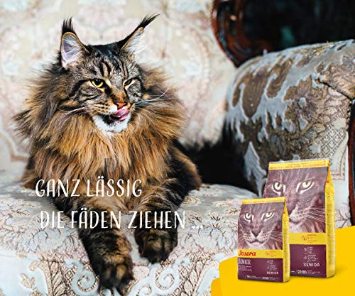 JOSERA Senior (400g) | Katzenfutter trocken weizenfrei für ältere Katzen