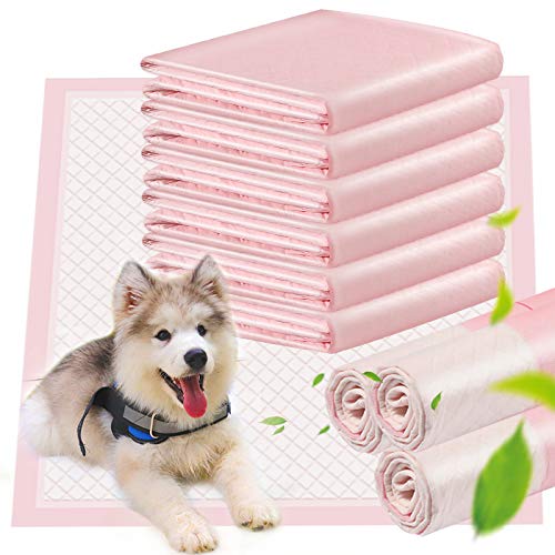 ACE2ACE Almohadillas De Entrenamiento Para Mascotas Empapadores Para Entrenamiento Para Perrosy Cachorros Para 100% Libre De Fugas (10 Pack-60 * 60CM)