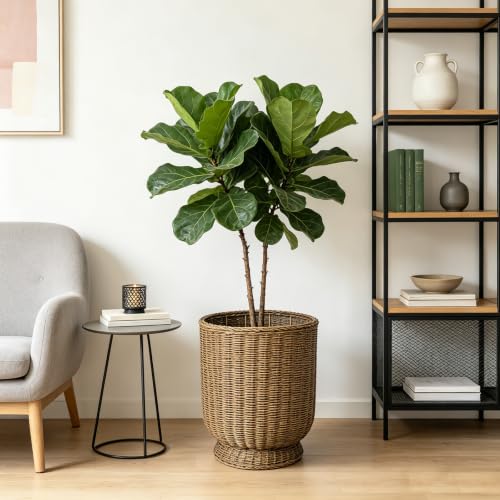 Quincry Rattan Planter, Woven Planter Basket for Plants Indoor Outdoor, Rattan Flower Pot, Decorative Plant Holder Basket for Garden Patio Boho Home Decor (Brown-Large:15.75" H x 13.4" W)