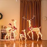 COSTWAY 3-teiliges LED Rentier Familie, Weihnachtsdeko, beleuchtetes Rentier Weihnachtsfigur mit 440 warmweißen Lichtern, Weihnachtsbeleuchtung Weihnachtsdekoration für außen & innen