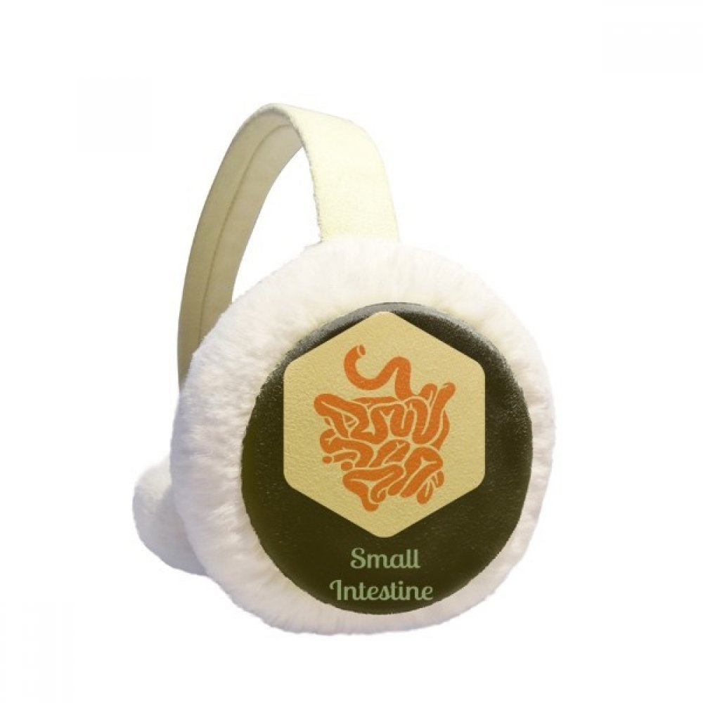 Orejeras de invierno de felpa de intestino delgado como regalo original 5