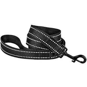 Collardirect Nylon Dog Leash 5ft for Daily Outdoor Walking Running Training Heavy Duty Reflective Pet Leashes for Large Medium  Small Dogs m Black  Cucciolini Doodles Collardirect nylon dog leash 5ft for daily outdoor walking running training heavy duty reflective pet leashes for large medium  small dogs m black   cucciolini doodles
