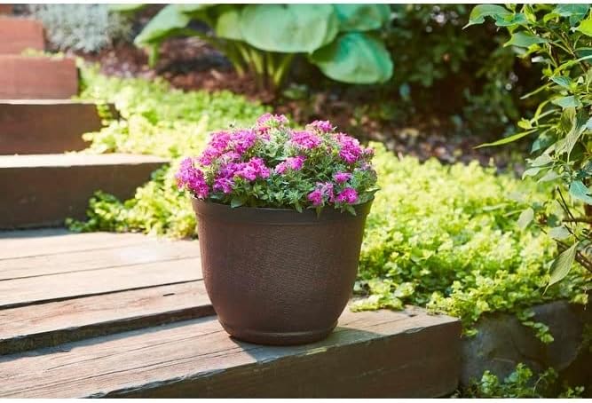 Miniatura 4 de Cronus - Maceta de resina de carbón caliente (1,5 pulgadas)