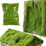 Bkljkf Musgo Artificial, Decoración de Jardín 300g, Musgo para Manualidades, Terrarios Macetas Jarrones Suculentas Pared Navidad Bodas Fiestas Acuarios Exteriores