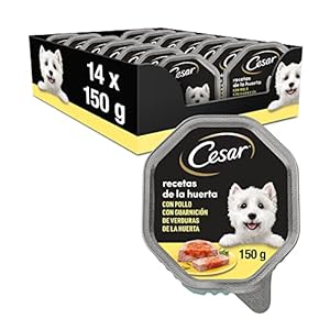 Cesar Comida Húmeda para Perros, Recetas de la Huerta en Paté y Gelatina (Pack de 14 Tarrinas x 150g)