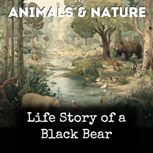 Couverture de Life Story of a Black Bear
