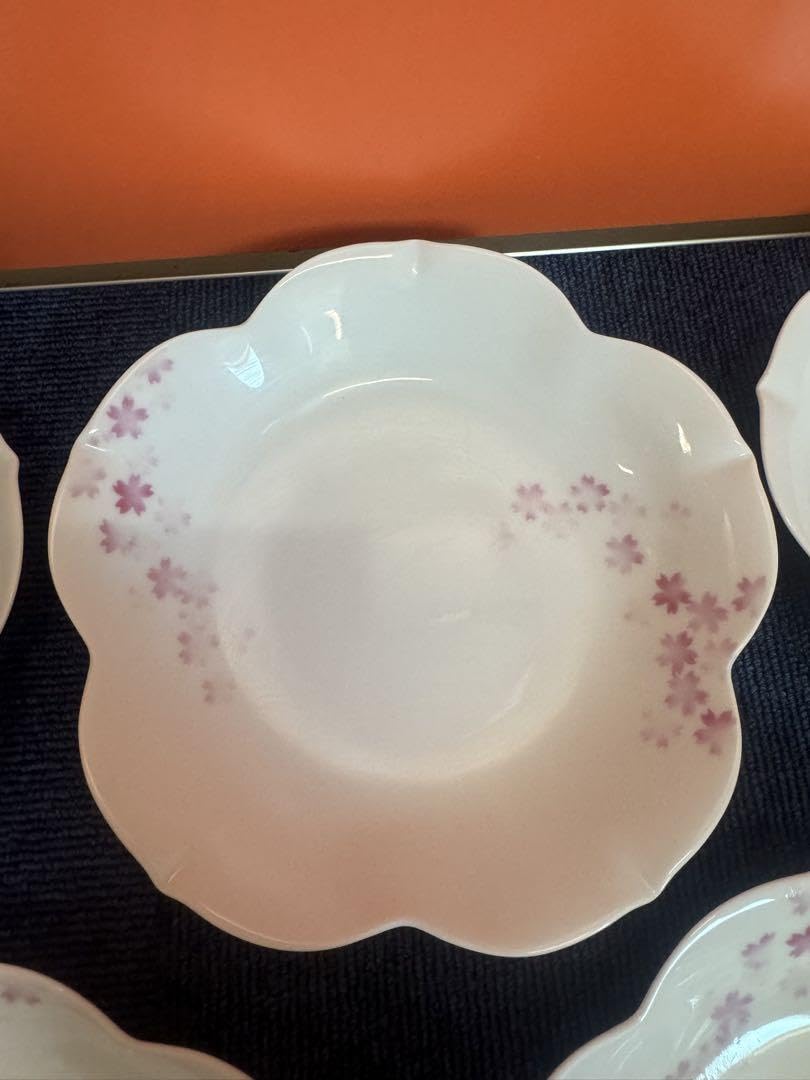2024 深川製磁　桜　和皿　5客　未使用 2024 深川製磁桜和皿5客未使用