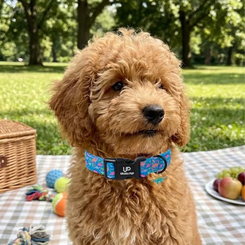 Image of Dinosaur Dog Collar, Summer Spring Cotton Dog Collar, Cute Dino Pattern Adjustable Light Blue Pet Collar, Lightweight Durable Quick Release Buckle with Charm for Male Dogs