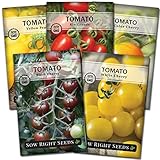 Sow Right Seeds - Cherry Tomato Seed Collection for Planting - Black, Yellow Pear, White, Bi-Color and Rio Grande Cherry Tomatoes; Non-GMO Heirloom Varieties to Plant and Grow Home Vegetable Garden