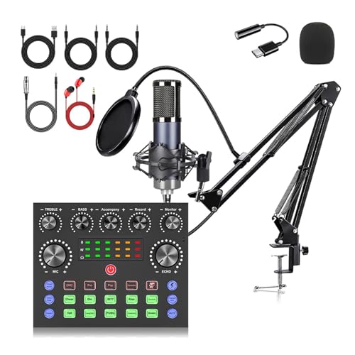 BM800 - Juego de tarjetas de sonido de micrófono condensador tipo C en tiempo real para podcast, videoconferencias, cambiador de voz