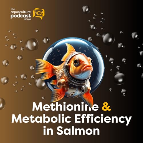 Methionine & Metabolic Efficiency in Salmon | Ep. 56