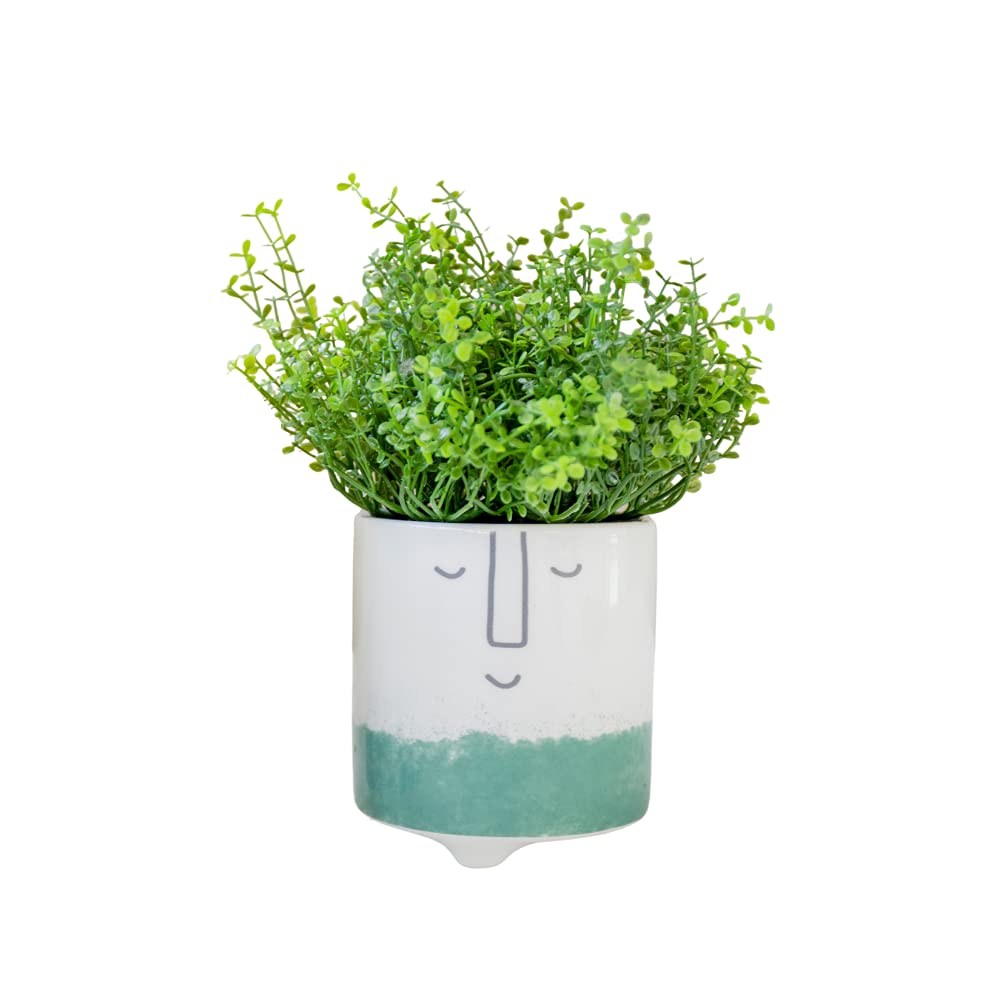 Piccolo vaso in ceramica per cactus e piante grasse / Vaso unico fatto
