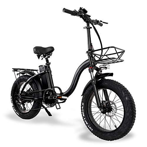 Y20 Bicicleta eléctrica para adultos Rueda plegable de 20 pulgadas Bicicleta de montaña eléctrica 4.0 Neumático gordo (estándar, 24Ah)