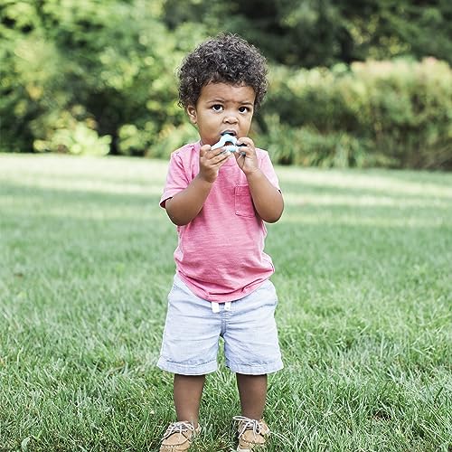 Image of Green Sprouts Silicone Molar Teether, 12mo+, Platinum-Cured Silicone, Sterilizer Safe, Tested for Hormones - Light Blueberry