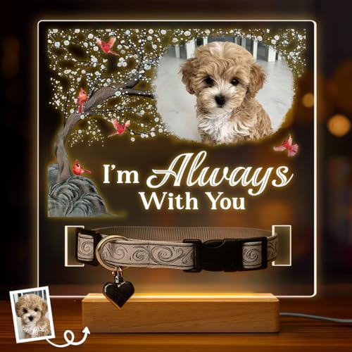 Pawfect House Custom Photo Acrylic Light with Stand, Personalized Pet Memorial Gifts for Dogs, Cats, I'm Always with You, Dog Remembrance Gift, Loss of Dog Sympathy Gift, LED Night Lights