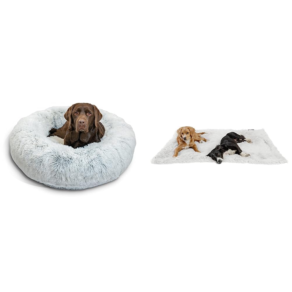Best Friends by Sheri The Original Calming Donut Cat and Dog Bed in Shag Fur Frost, Large 36" and Calming Shag Fur Pet Throw Blanket, Frost, 40"x50"