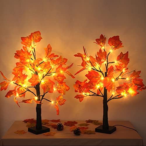 Maple tree lights