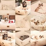 CheerPals Extended Katze Sofa – 63 L × 55–66 B cm Weiches, Flauschiges Großes Katzenbett, Hundesofa für Katzen und Kleine Hunde mit Waschbarem, Abnehmbarem Bezug und Rutschfester Unterseite