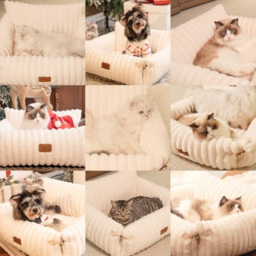 CheerPals Canapé extensible pour chat - 63 L × 55-66 l cm - Doux et moelleux - Grand lit pour chat et chien de petite taille - Avec housse amovible lavable et dessous antidérapant – vue 9