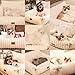 CheerPals Extended Katze Sofa – 63 L × 55–66 B cm Weiches, Flauschiges Großes Katzenbett, Hundesofa für Katzen und Kleine Hunde mit Waschbarem, Abnehmbarem Bezug und Rutschfester Unterseite