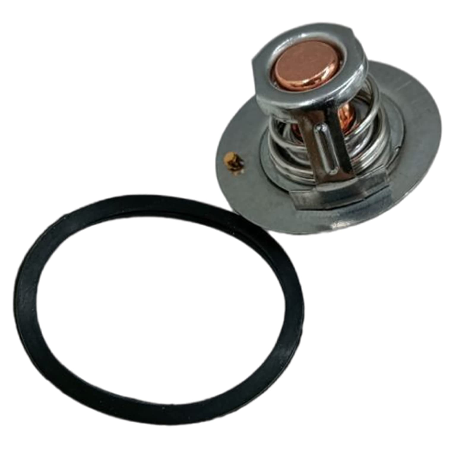 Amazon.com: FridayParts Thermostat 1273091C1 Compatible for