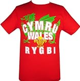 Wales Rugby T-Shirt - XL