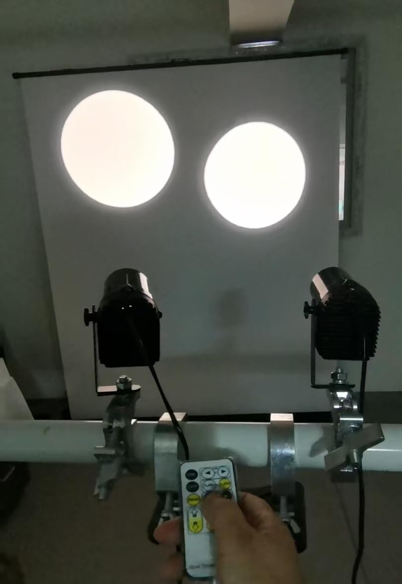 PinSpot-Light, SENLAN 12 W, doppio bianco/bianco freddo e bianco caldo, luce LED da discoteca per Mirro Ball, PinSpot-DJ luci per palcoscenico con controller IR
