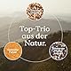 NATURE LOVE® Curcuma 15000mg - Kurkuma Kapseln - 9 Monate Reichweite - hochdosiert 95% Curcumin pro Kapsel - mit schwarzem Pfeffer - vegan, laborgeprüft & in Deutschland produziert
