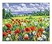 Schipper 609130824 Painting by Numbers, Flower Meadow - Painting for Adults, Including Brushes and Acrylic Paints, 40 x 50 cm