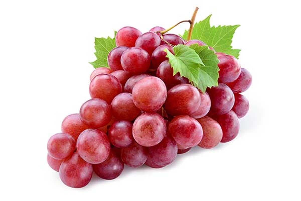 FreshToHome Grapes Red Globe 500g (South Africa)