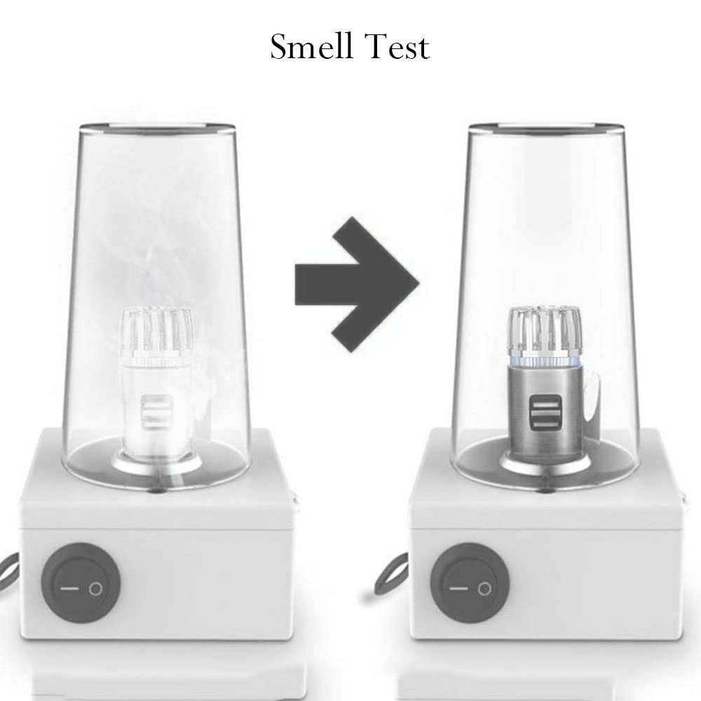 Baceyong purificatore d'aria per auto a ioni negativi con caricatore USB doppio, rimuove odori, fumo di sigaretta, inquinamento ambientale, polline e peli di animali.