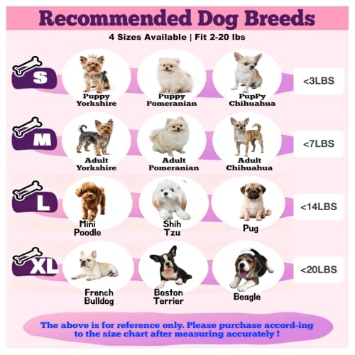 Image of Soft Elizabethan Collar for Small Dogs 2-20 lbs, Comfy Recovery Cone for Post-Surgery Spay & Neuter, Lightweight Breathable Neck Collar to Stop Licking for Teacup Puppies & Yorkies, S