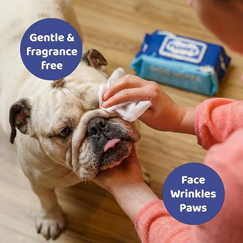 Bamboo Dog Wipes | Antibacterial Pet Care for Face, Ears, Bum & Wrinkles | Hypoallergenic Quick and Easy Cleaning | Fragrance-Free Grooming for Dogs & Cats | 100 Count, 15×20cm, 50gsm - Image 5