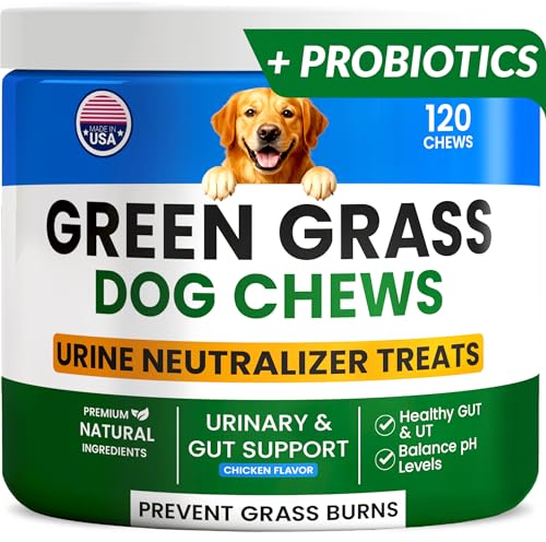 PAWFECTCHEW Green Grass Dog Chews w/Probiotics - Prevent Urine Burning Grass - Dog Pee Grass Spot Saver - Dog Urine Neutralizer for Lawn Treats, UT & Gut Health for Dogs, Lawn Burn from Dog Urine