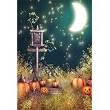 Qinunipoto 背景布 ハロウィン happy halloween 写真撮影用 星空 明るいメニスカス かぼちゃ ポイント道路標識 万聖節カボチャ cosplay背景 撮影道具 写真の背景 背景幕 撮影用 小道具 ビニール 1x1.5m