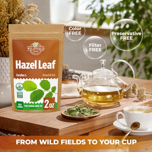 Image of 2 oz. Hazel Leaf Herbal Tea (Folium Coryli avellanae) - 56g Dried Hazel Leaf Tea Hojas de Avellano
