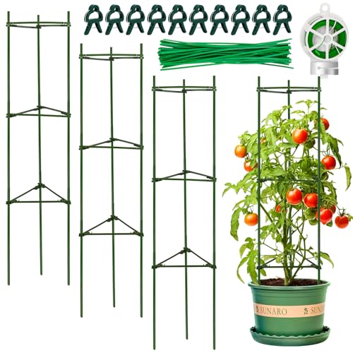 How to pollinate tomatoes How to pollinate tomatoes