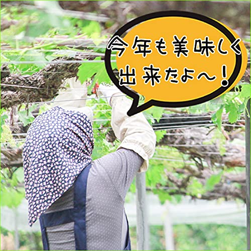 竹城青果 シャインマスカット の商品画像 6