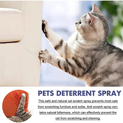 Sofa Spray – Die 15 besten Produkte im Vergleich - HundeINFOPortal