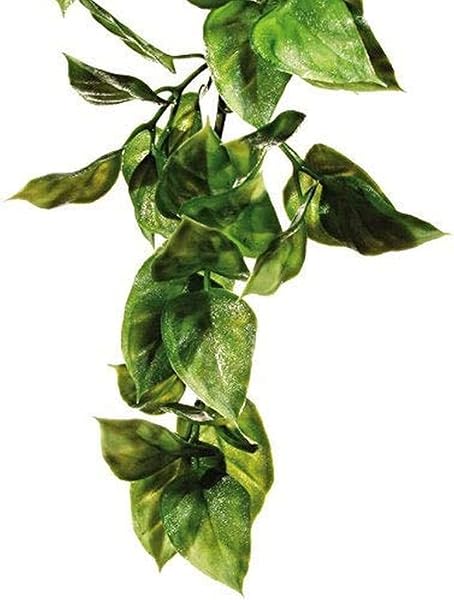 Exo Terra Plante de terrarium en plastique Croton Taille S - 4